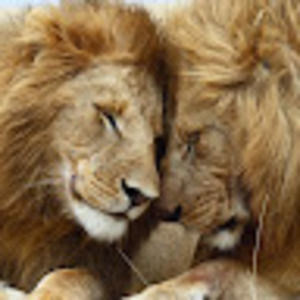 Meet your Posher, Emerson